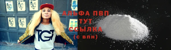 прущие грибы Волосово