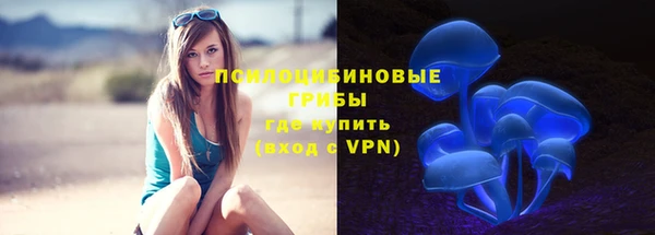 спиды Вязьма