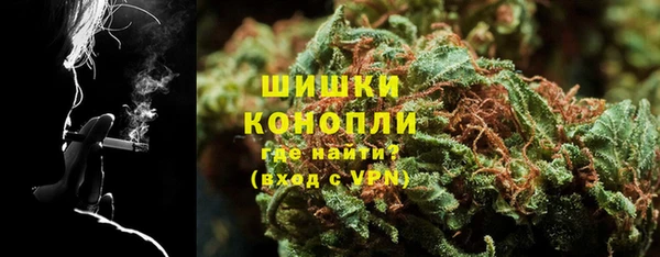 прущие грибы Волосово