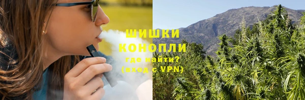 прущие грибы Волосово