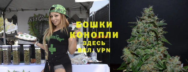 прущие грибы Волосово